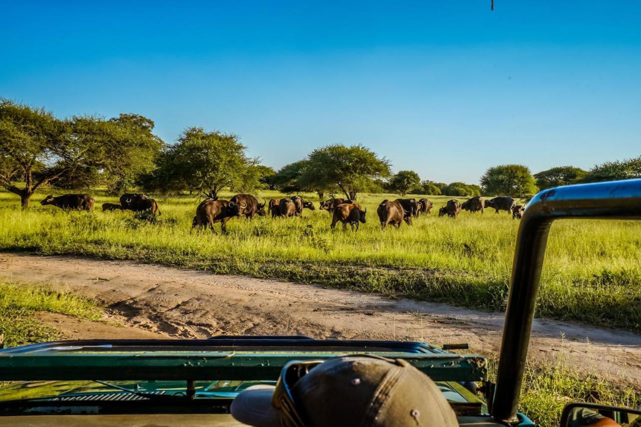 Africamps At Mackers Villa Hazyview Buitenkant foto